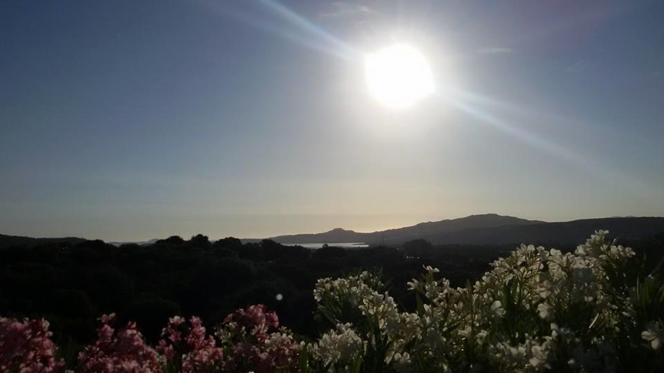 קוניאנה Agriturismo Sa Mendhula חדר תמונה