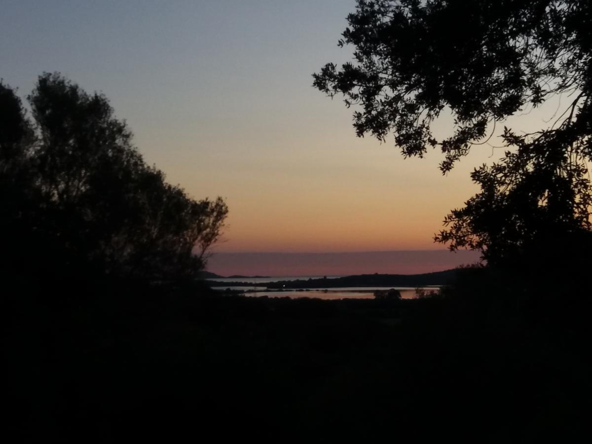 קוניאנה Agriturismo Sa Mendhula מראה חיצוני תמונה