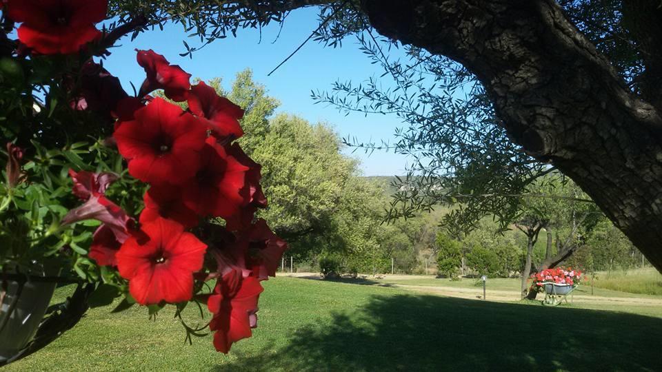 קוניאנה Agriturismo Sa Mendhula מראה חיצוני תמונה
