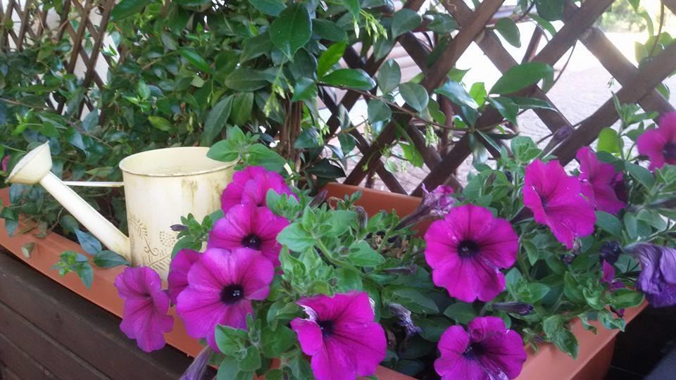 קוניאנה Agriturismo Sa Mendhula מראה חיצוני תמונה