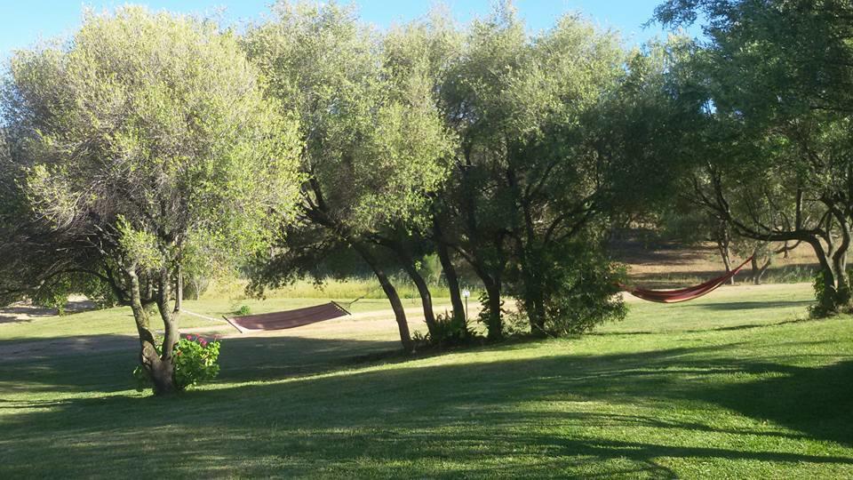 קוניאנה Agriturismo Sa Mendhula מראה חיצוני תמונה